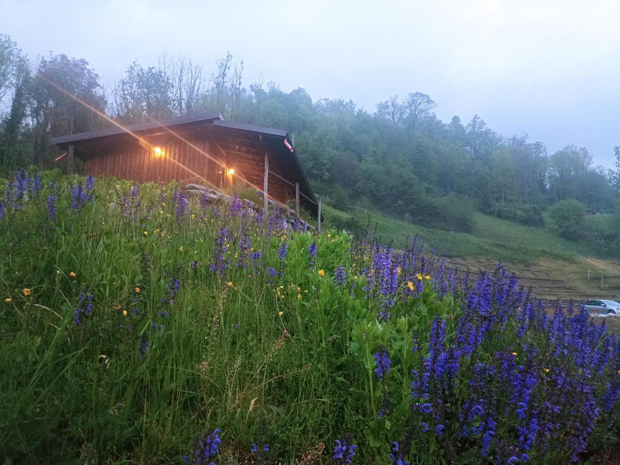 Agriturismo Cascina Cornella Cremeno Bagian luar foto