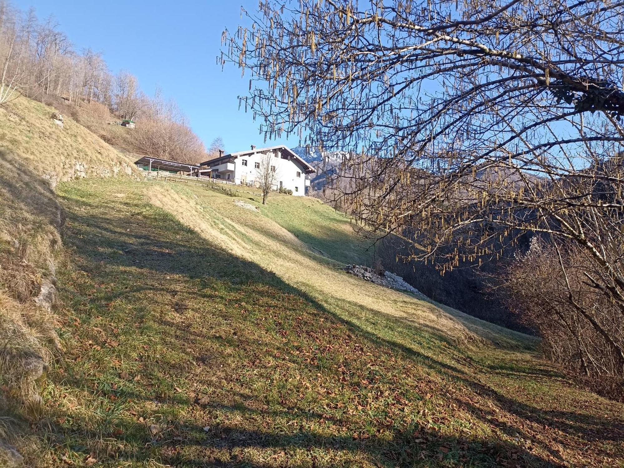 Agriturismo Cascina Cornella Cremeno Bagian luar foto