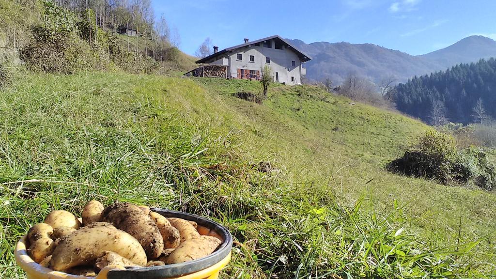 Agriturismo Cascina Cornella Cremeno Bagian luar foto
